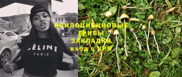 винт Нея