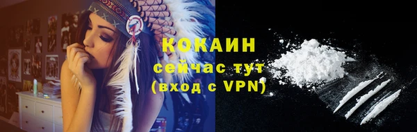 винт Нея