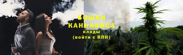 винт Нея