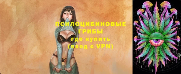 винт Нея