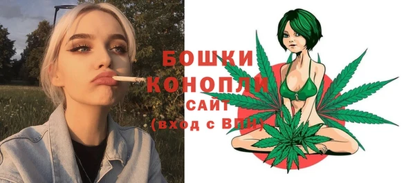 мдма Новозыбков