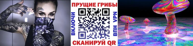 где найти   Усть-Илимск  Галлюциногенные грибы мухоморы 